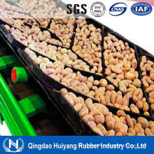 China Supplier Ep or Nn Patterned Chevron Conveyor Belt